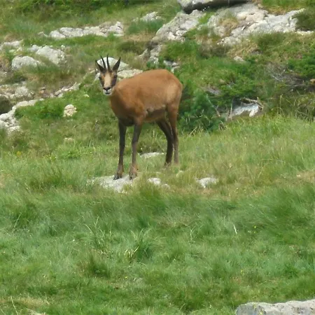 Studio Mezzanine 4 Pers, Parking A Cauterets - Fr-1-234-136 Daire Cauterets