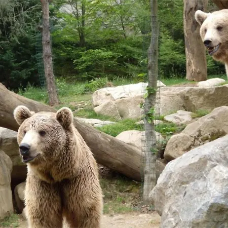 Apartment Studio Mezzanine 4 Pers, Parking A Cauterets - Fr-1-234-136 *