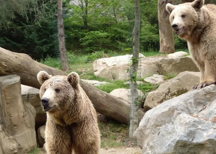 Lägenhet Studio Mezzanine 4 Pers, Parking A Cauterets - Fr-1-234-136 *